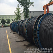 架空電纜與高壓架空線 市場(chǎng)行情、優(yōu)質(zhì)廠家與產(chǎn)品圖鑒