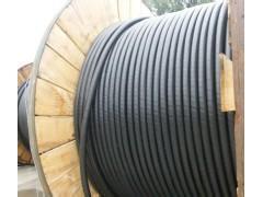 VV22輕鎧裝電力電纜在電力系統(tǒng)中的應(yīng)用與漳州市場(chǎng)概述